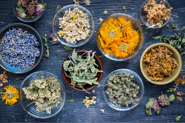 Herbs for dry skin